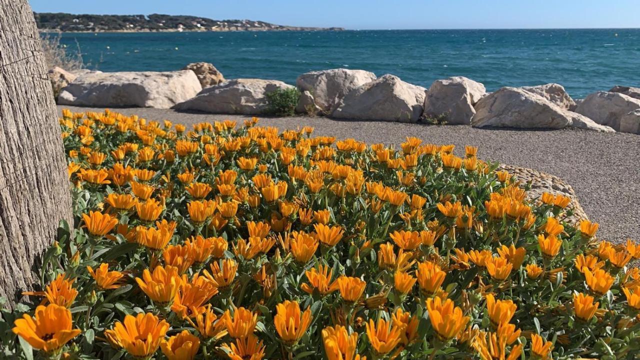 Les Appartements De La Marina Sanary-sur-Mer Zewnętrze zdjęcie