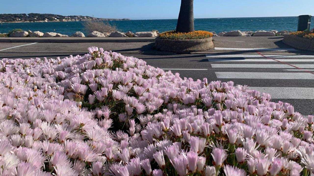 Les Appartements De La Marina Sanary-sur-Mer Zewnętrze zdjęcie