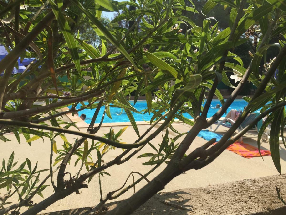 Les Appartements De La Marina Sanary-sur-Mer Zewnętrze zdjęcie